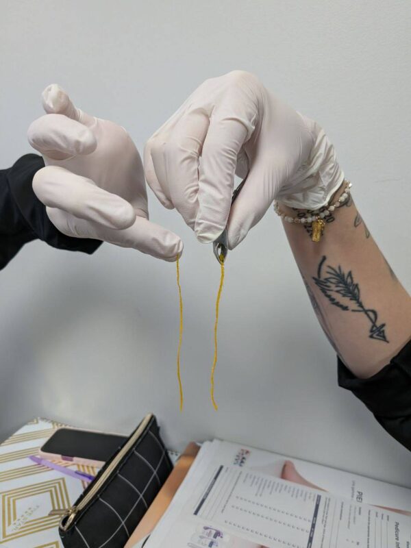 WOB COLLEGEEducational process